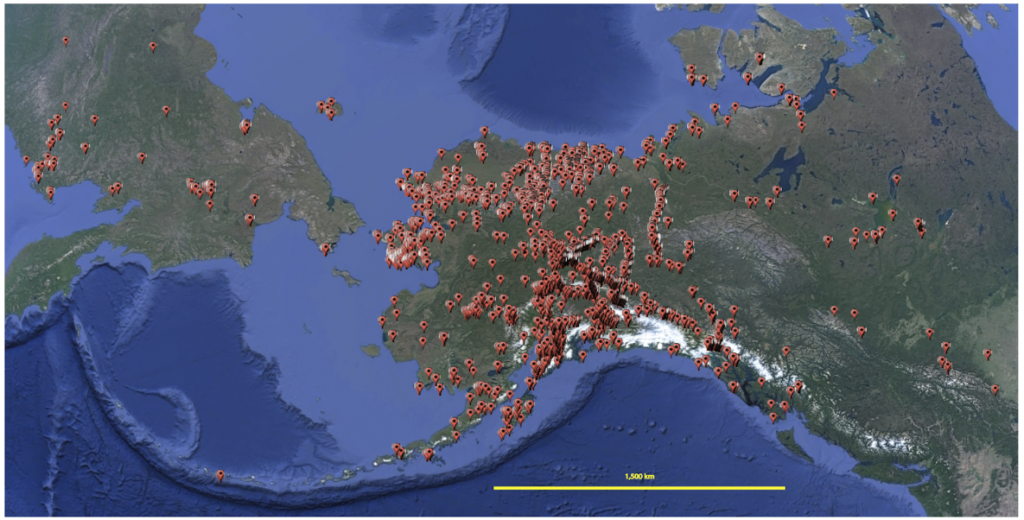 All specimen records from the Alaska Lepidoptera Survey as of 17 September 2016 (accessed through http://arctos.database.museum/kwp_ento) This map does not yet reflect every specimen within the collection; the effort to create records is ongoing at the University of Alaska Museum. 